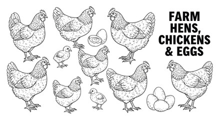 Fototapeta premium “Hand Drawn Chicken and Rooster Sketch Collection Farm Poultry Illustration Set”