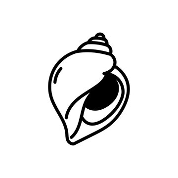 Illustration vectorielle minimaliste d&rsquo;un bulot en noir et blanc. Coquillage embl&eacute;matique du littoral breton et de la gastronomie marine