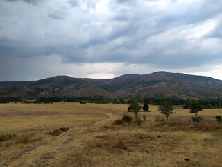 Obraz premium Sunny summer landscape with dirt road, green trees and blue sky with white clouds in rural countryside