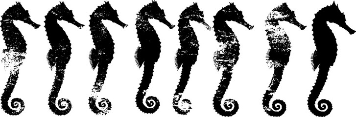 Fototapeta premium High contrast seahorse ring tail stencil design for decorative art