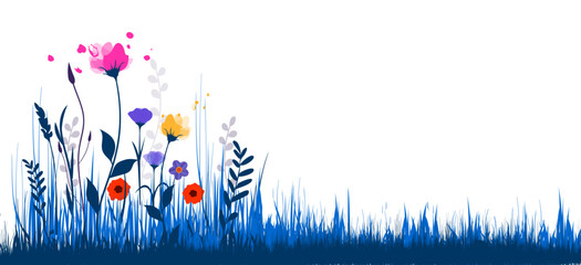 fiori, natura, primavera, campagna, campo di fiori,