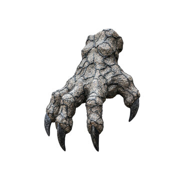 Stone Dragon Claw