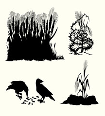 Fototapeta premium Vector drawing. Old wheat field. Biblical parable