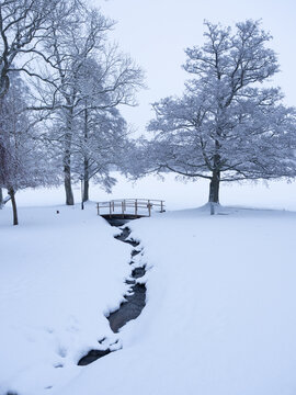 Scandinavian winter