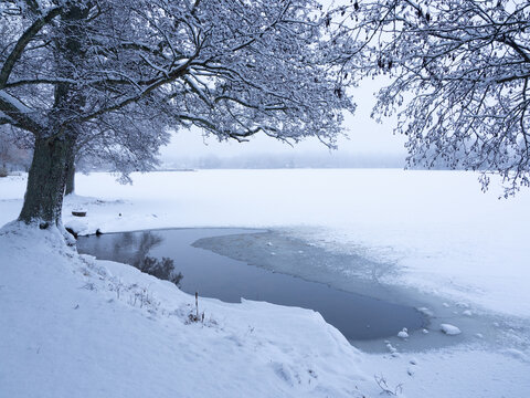 Scandinavian winter