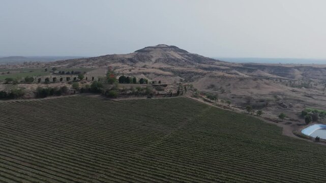 Drone slowly rises over dense green hillside grapevine rows at Vineyard revealing a rocky Deccan plateau mountain in hazy Solapur Maharashtra