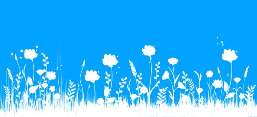 fiori, natura, primavera, campagna, campo di fiori,