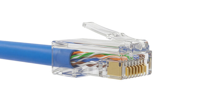 Close-up of a blue Ethernet network cable with a clear RJ45 connector showing twisted pair wires
