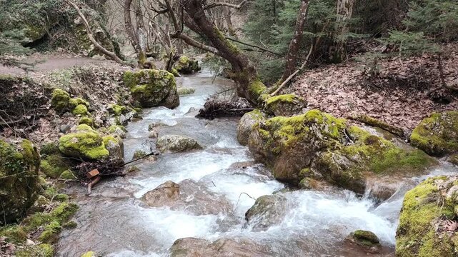 View of the refreshing and tranquil Asopos River, flowing through Pavliani Recreational Park, beside the charming village of Pavliani, nestled on the forested slopes of Mount Oeta. 