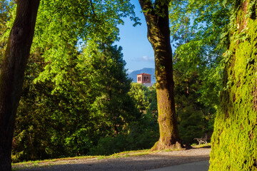 Lucca ancient walls park with bell tower
