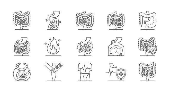 set of line icons illustrating digestive system gut health inflammation and protection concepts ideal for medical presentations.