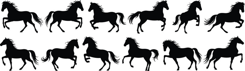 Black horse silhouette collection with running and rearing poses, elegant stallion vector set isolated on white background for design © Taslima