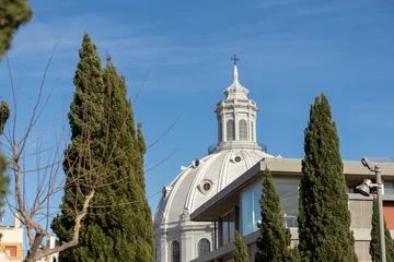 Foto auf Acrylglas Cathedral Cove A striking view of the historic Basilica of Nuestra Senora de la Caridad, Our Lady of Charity cathedral in Cartagena, Spain, featuring its ornate dome and spire, framed by tall trees  © alma.photo