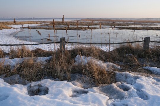 Early spring scenery of bird nature reserve Beka. Baltic Sea, Puck Bay, Oslonino, Pomerania, Poland