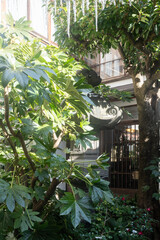 THE FUJIYA GOHONJINの中庭