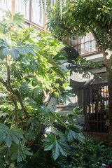 THE FUJIYA GOHONJINの中庭