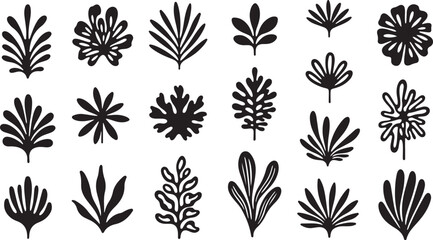 A collection of various leaf designs and patterns in black and white isolated on transparent background © Rana