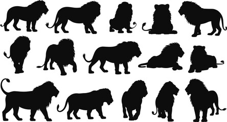 Lion silhouette collection featuring standing, walking and resting poses, wild African animal vector set isolated on white background for design © Taslima