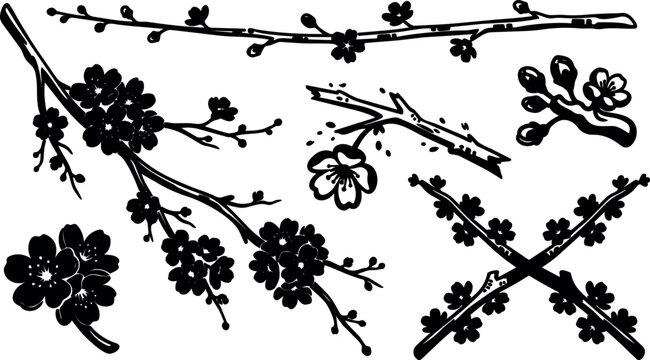 Minimalist japanese cherry blossom branch vector art close up black silhouette on white background modern flat design ornamental spring botanical