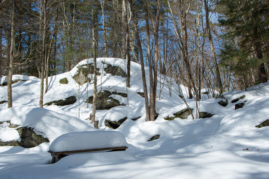 snow covered landscape  of willard brook state park
