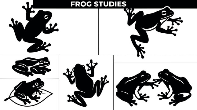 Silhouette vector study sheet showing seven frog poses climbing sitting leaping top view side view close up black white print