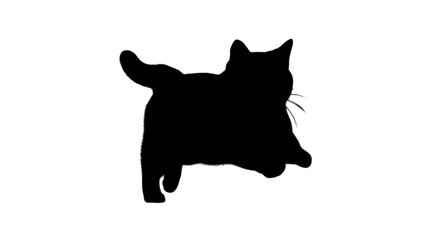 Elegant silhouette of a black cat in a relaxed pose against a plain background