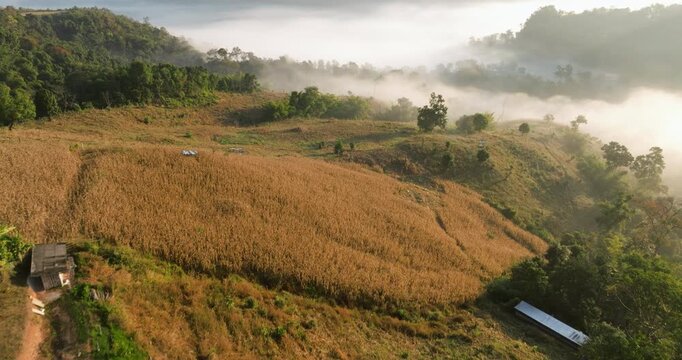 Mountains With Sea Of Clouds At Ban Jabo Black Lahu Village In The Pang Mapha District of Mae Hong Son Province, Northern Thailand. Aerial Shot