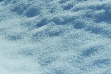 降り積もった雪の風景