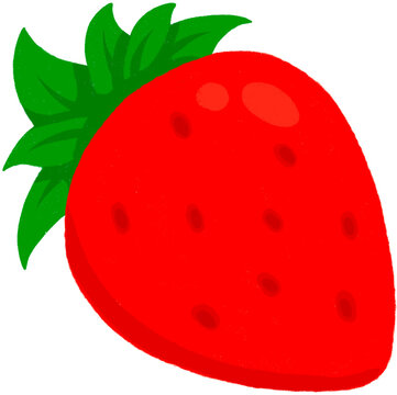 strawberry vector illustratior