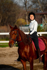 Fototapeta premium Female equestrian rider wearing a helmet and riding outfit smiles while sitting on a brown horse in an outdoor riding arena with a wooden fence