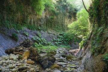 Canyon on the way to Gupsky Waterfall, Abkhazia.
