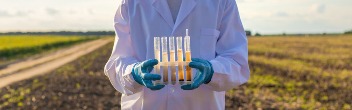 Field soil samples for analysis. Selective focus.