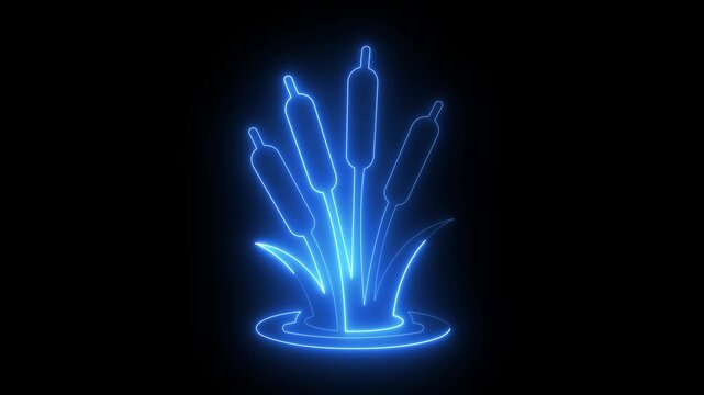 glowing neon Wetland Grass and cattail plant Icon isolated on black background. Cattail reed plant wetland nature icon, perfect for nature or landscape designs. 4k video animation.