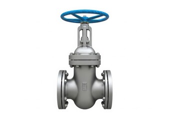A close-up view of a stainless steel gate valve with a blue handle isolated on white background