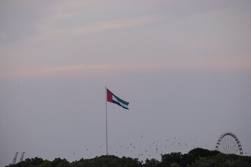 Fototapeta premium National flag of the United Arab Emirates waving on a high flagpole at dusk against the Sharjah city skyline and twilight sky, UAE.
