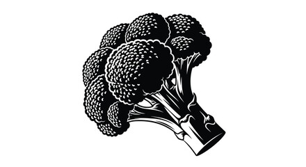 A striking black and white illustration of a fresh broccoli floret © msunny93