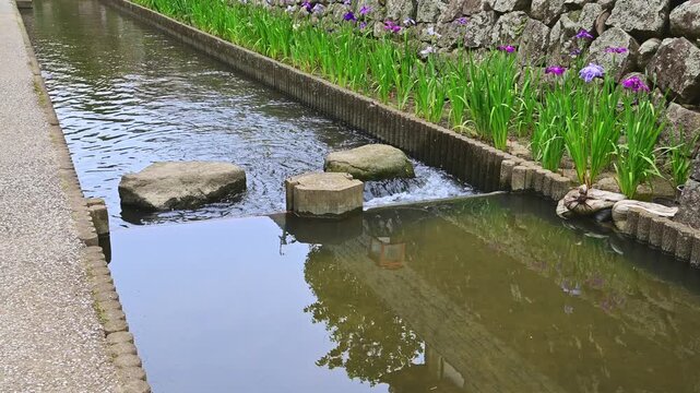 初夏の和風景：
石垣とせせらぎが織りなす「高瀬裏川花しょうぶまつり」
熊本県玉名市「高瀬裏川花しょうぶまつり」
A Japanese landscape in early summer:
The Takase Urakawa Iris Festival, featuring stone walls and a babbling brook