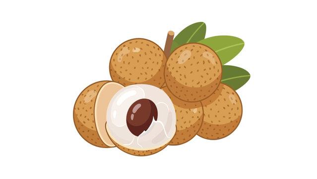 Flat lay illustration of a bunch of brown longan fruits with green leaves on a white background, one fruit cut open.