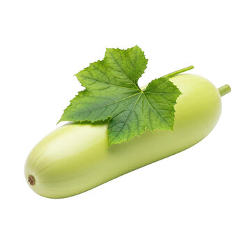 A vibrant winter melon with a lush green leaf rests delicately showcasing freshness on transparent background