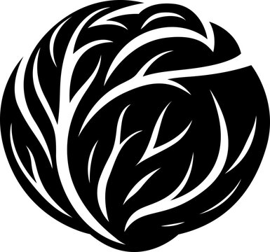 vector illustration of a cabbage silhouette