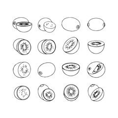 Fototapeta premium Kiwi Fruit Collection: Whole Halved and Sliced Views Black and White Line Art