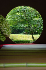 丸い窓のある庭を見る夏