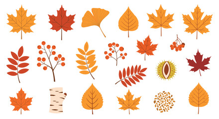 Obraz premium Autumn leaves collection in warm colors for seasonal decoration and design elements