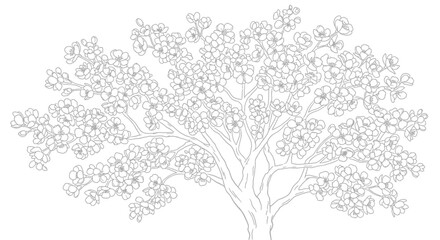 Fototapeta premium Blooming tree illustration: Delicate line art captures the essence of a flowering tree in full bloom, revealing intricate details of branches and blossoms.