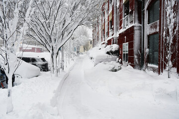 Fototapeta premium snow covered house