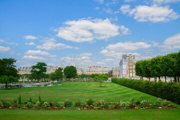 Obraz premium Tuileries garden at summer day, green lawn and blue sky with clouds, Paris France