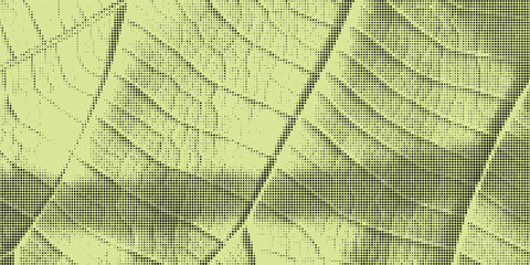 Fototapeta premium Halftone overlay resembling macro view leaf structure. Green dot texture. Vector banner for design and creative projects.