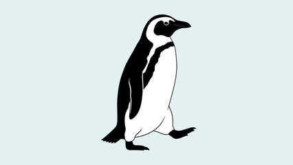 Fototapeta premium African Penguin Walking Isolated on Light Blue Background, Side View