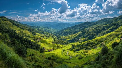 Fototapeta premium Breathtaking panoramic view of lush green rice terraces nestled in a mountain valley under a bright blue sky with fluffy white clouds