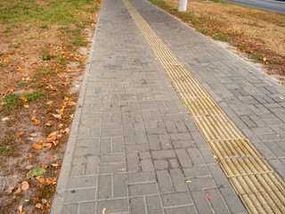 Obraz premium ground-level perspective of a grey brick sidewalk featuring a long, textured yellow tactile paving strip, bordered by a lawn with patches of dry grass and scattered autumn leaves